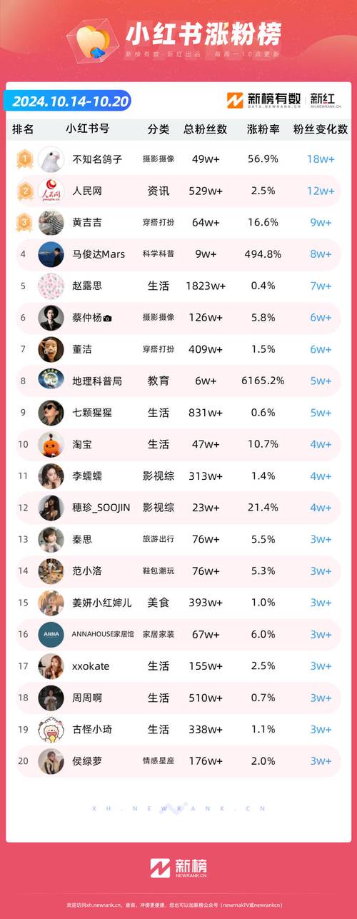 粉丝增长新途径:快手刷粉平台大揭秘