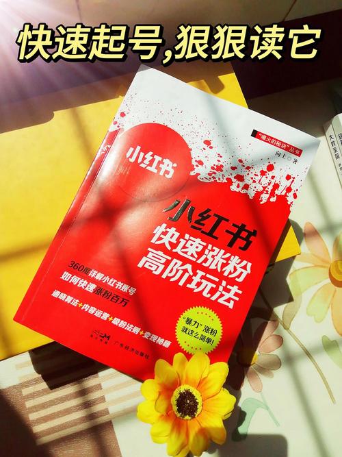 **标题：小红书涨粉秘籍大公开！轻松吸引更多粉丝关注的实用方法**