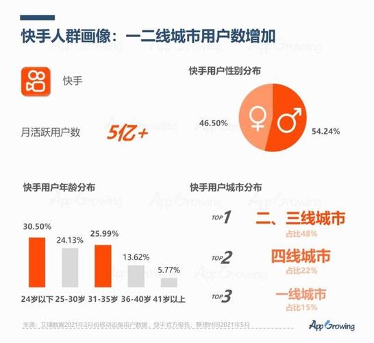 专业解析：快手刷粉平台的收益与成本对比