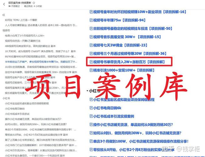 **全面剖析视频号刷粉平台的利与弊**