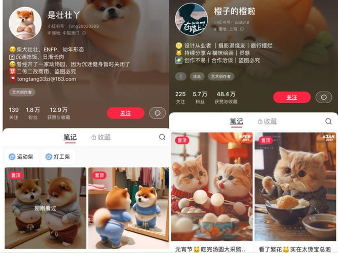小红书粉丝自助下单，快速积累人气与关注