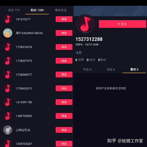 轻松拥有千名粉丝，抖音1000粉丝自助平台成就你的网红梦