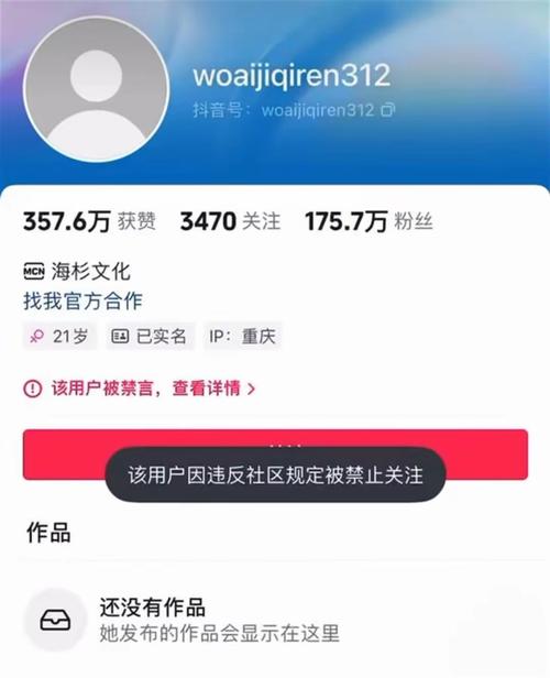 抖音1000粉丝自助平台：让你的作品被更多人看见