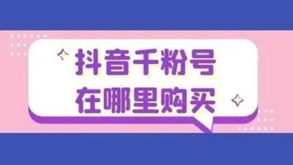 粉丝力量大无边,抖音自助平台助你粉丝破千