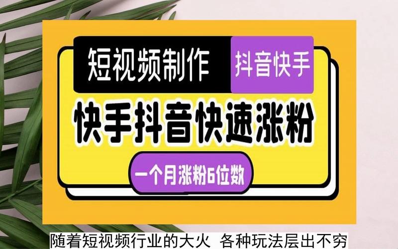 解锁抖音新成就，1000粉丝自助平台成就网红梦