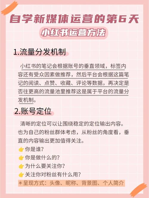 **标题:揭秘小红书粉丝购买平台:专业增粉服务助力账号蜕变**