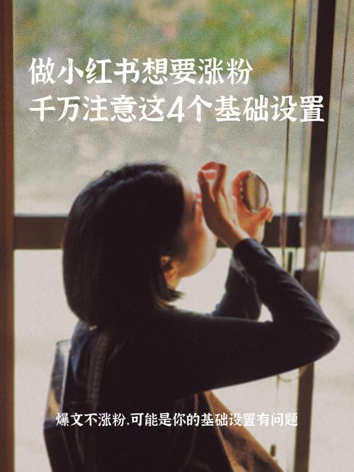 **小红书自助购粉初体验:网红成长日记揭秘**