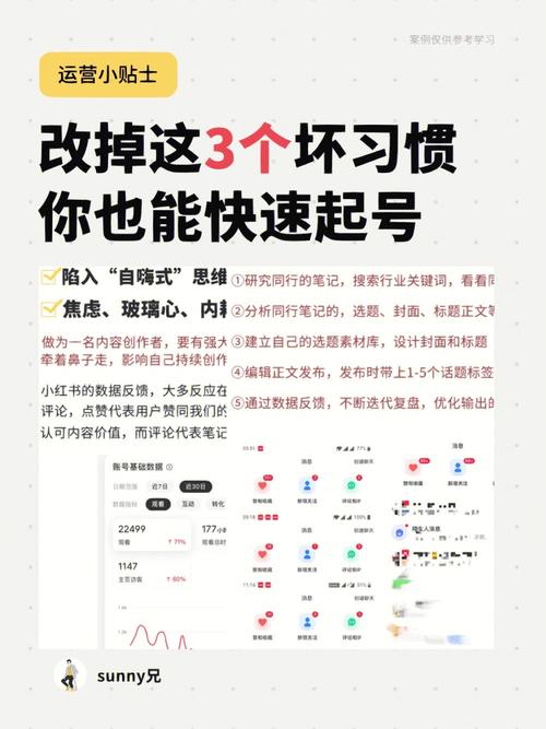 **小红书粉丝购买平台:快速升级账号的秘诀揭秘**