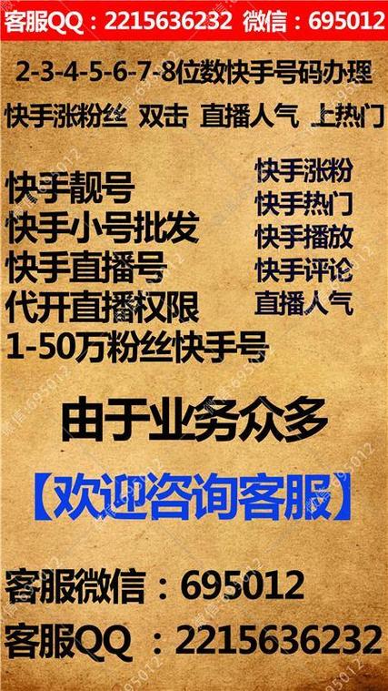 快手真人刷粉网站,助力短视频快速爆红