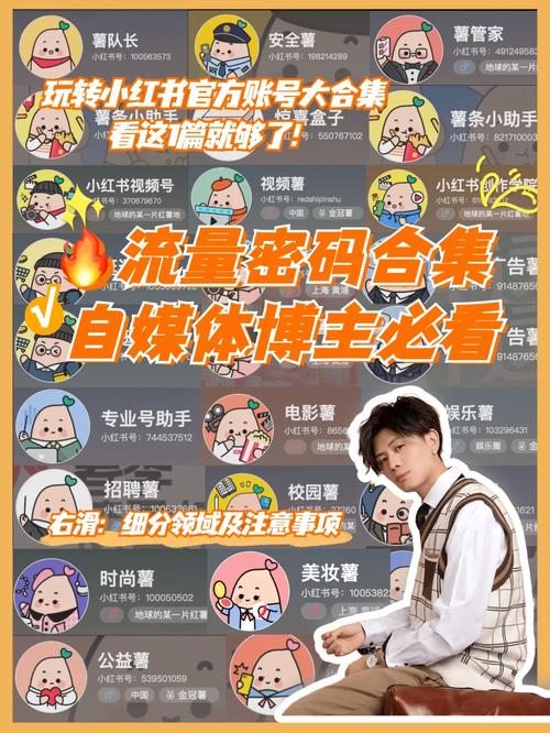解锁小红书人气密码,自助购买粉丝平台来袭