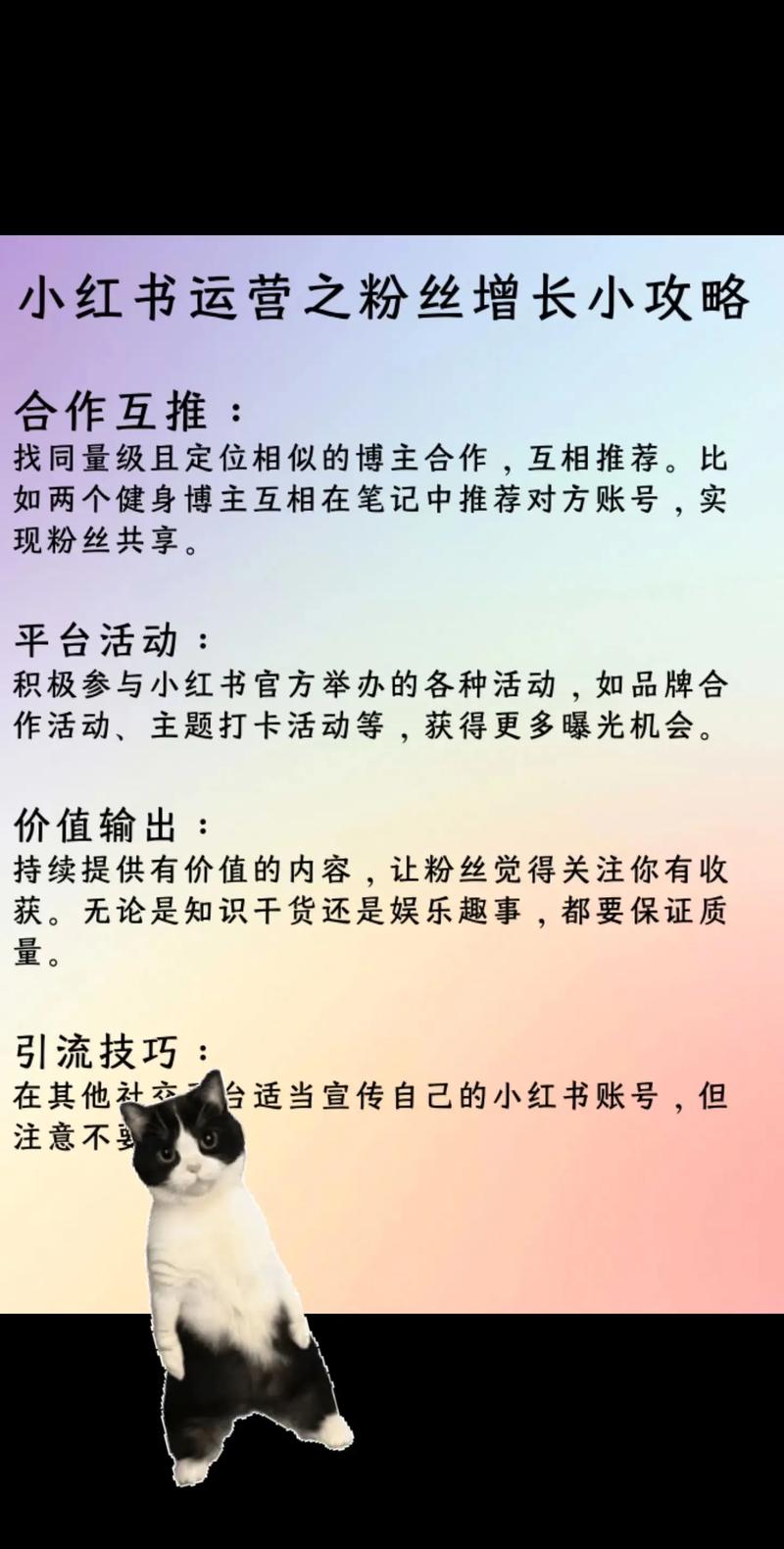 **小红书自助平台粉丝管理新升级，助力运营效率飙升**