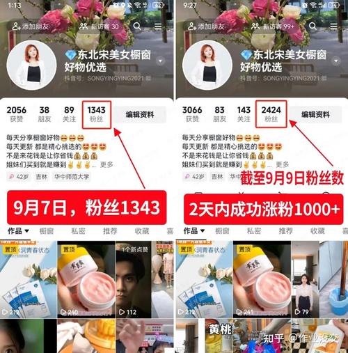 精准吸粉不是梦,小红书粉丝自助平台实战分享