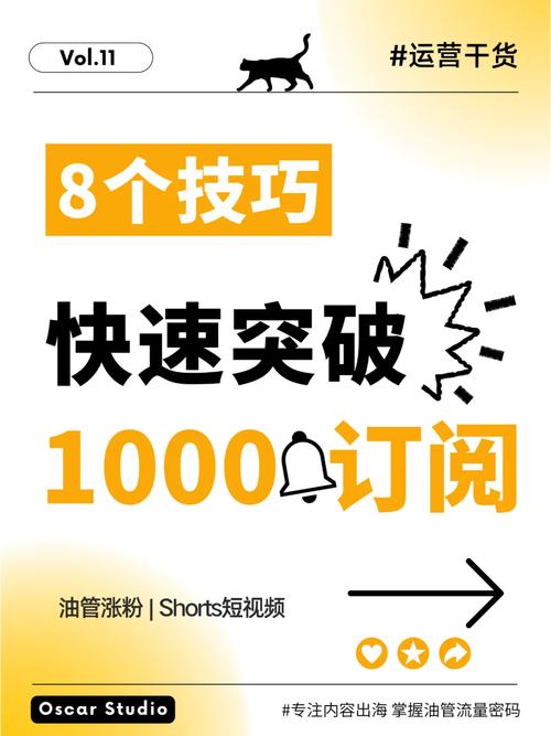 **标题:揭秘:如何快速为视频号累积1000有效粉丝?**