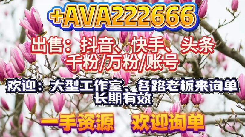 **揭秘抖音账号市场:千粉账号如何定价?**