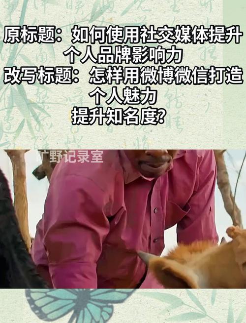 微博自助刷粉丝平台，轻松提升个人影响力