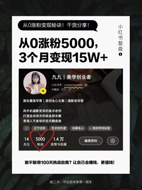 深入了解小红书刷粉平台功能特点,让粉丝增长触手可及!