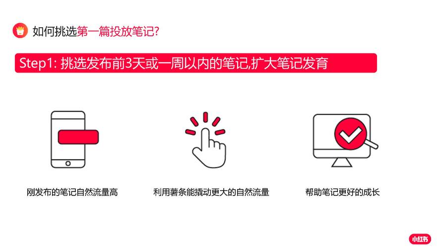 深入了解小红书刷粉平台功能特点,让粉丝增长触手可及!