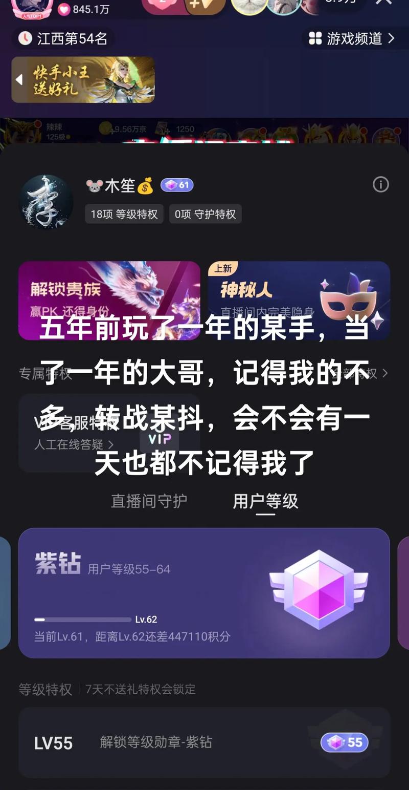 **标题:快手带刷网:揭秘轻松登顶热门榜单的秘诀**