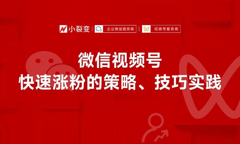 **标题：微信视频号关注度与粉丝数量提升秘籍：专家级策略大揭秘！**