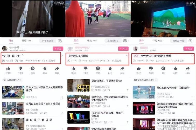 **揭秘B站视频播放量背后的推手：专业提升平台探秘！**