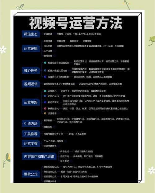 **视频号吸粉秘诀:千粉轻松揽,内容为王策略全解析**