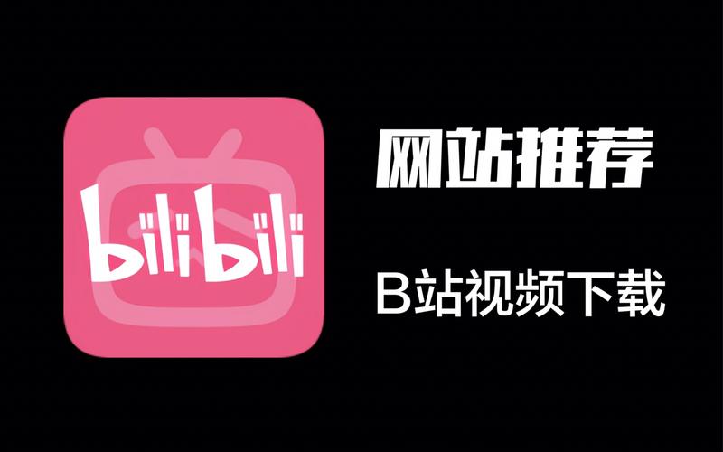 **揭秘B站热门视频背后的推手：刷播放量平台大起底！**