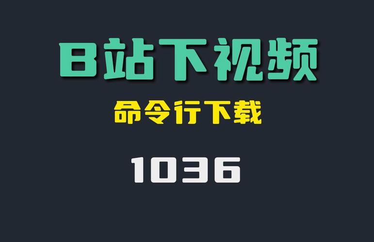 **揭秘B站播放量飙升秘诀：这款插件竟是小众神器！**