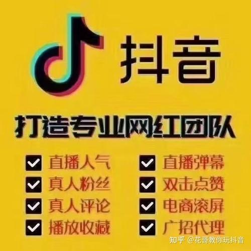 高效涨粉,抖音网站平台下单助你打造网红新形象