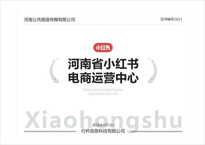 **标题：小红书粉丝网站：品牌崛起的新引擎**