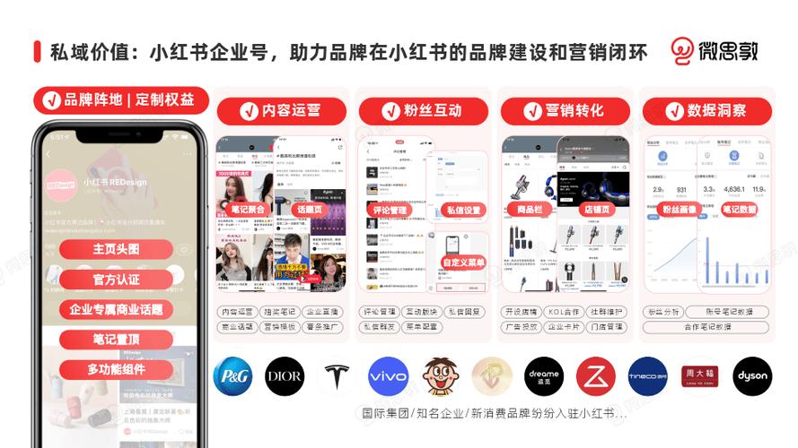 **小红书涨粉秘诀大揭秘：一元策略引爆粉丝狂潮！**