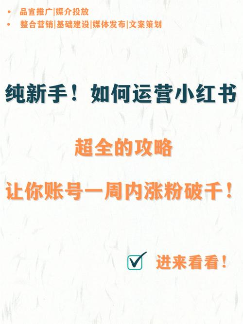 小红书买粉丝平台大揭秘：轻松增加人气的方法！