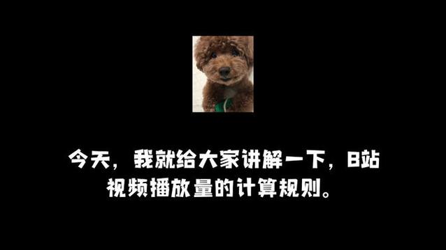 **标题：B站人气飙升秘籍：揭秘热门播放量刷量插件的真相！**