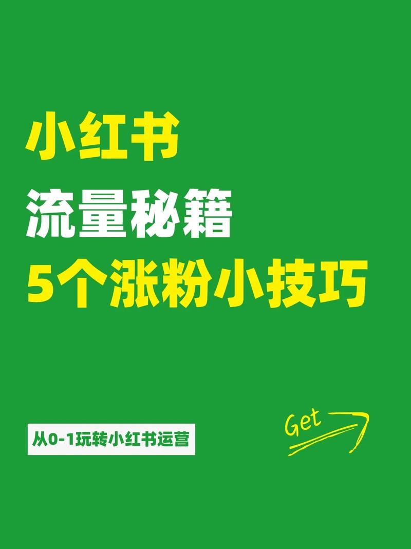 **揭秘小红书涨粉新策略：一元投资，粉丝暴涨不是梦！**