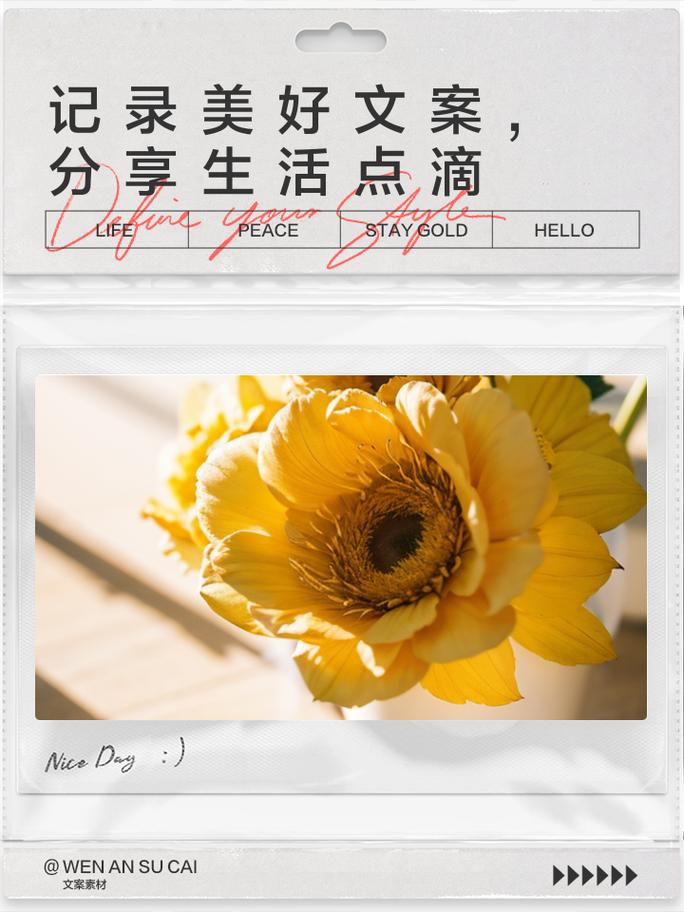 **标题：小红书粉丝专属：深度生活分享，发现不一样的美好**