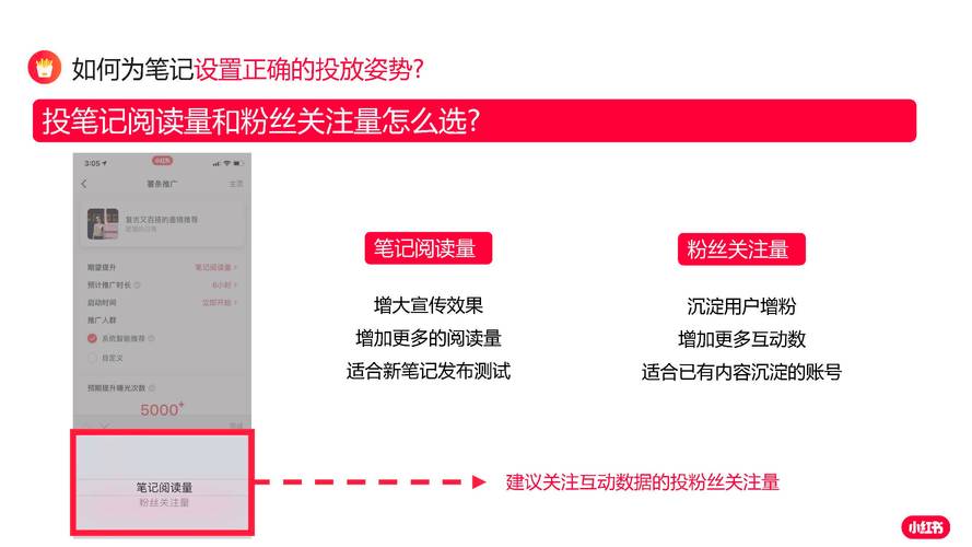 **标题：揭秘小红书粉丝增长秘籍，一元投入引爆人气狂潮！**