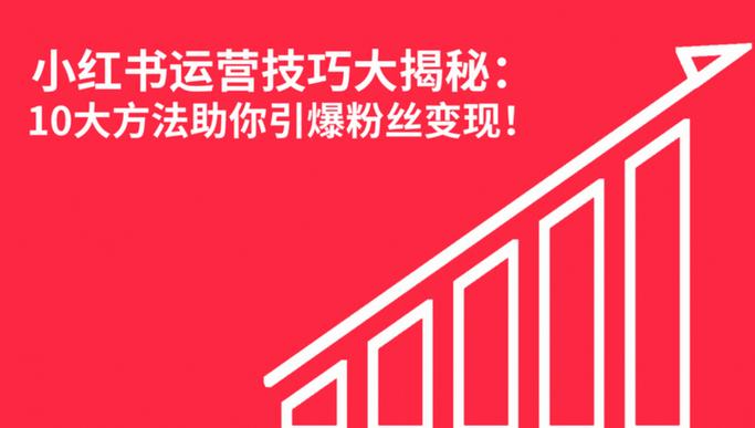 **标题:揭秘小红书粉丝增长秘籍,一元投入引爆人气狂潮!**