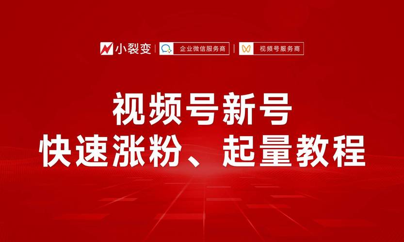 **标题:揭秘粉丝量飙升的秘诀,让你的视频号瞬间点燃人气!**