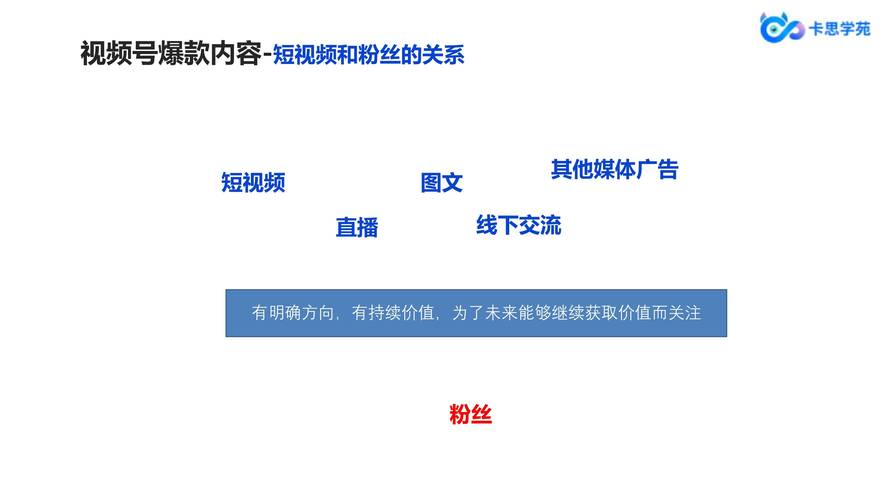 **标题：视频号粉丝飙升秘籍：从零到行业领袖的蜕变之旅**