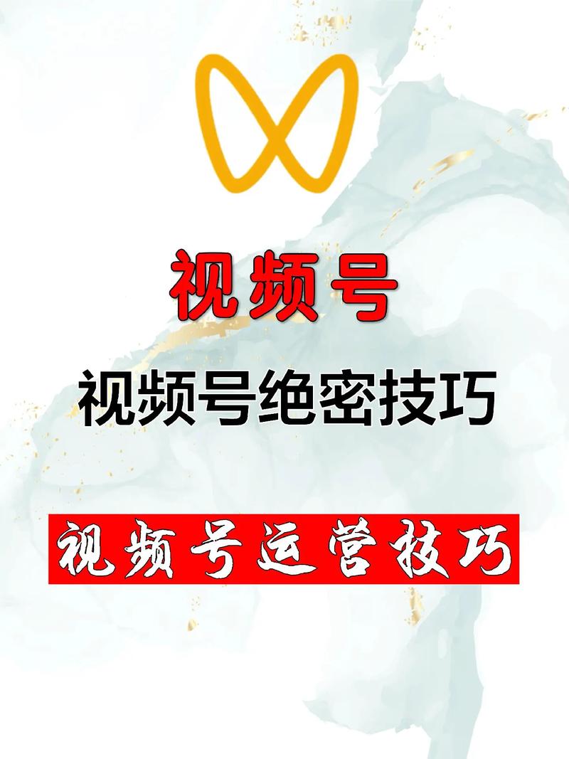 **标题：视频号运营宝典：揭秘如何轻松实现1000粉小目标**