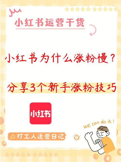 小红书买粉丝攻略大揭秘:如何快速提升粉丝量至500人?