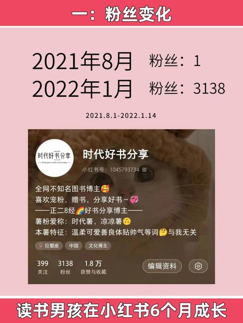**标题：小红书明星之路，从一元增粉计划扬帆起航！**