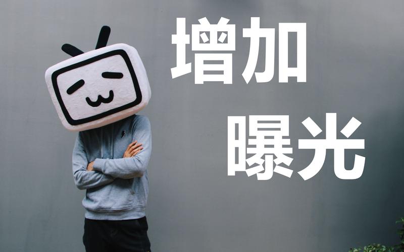 **揭秘B站播放量飙升背后的神秘力量：高效插件助你成为流量王者**