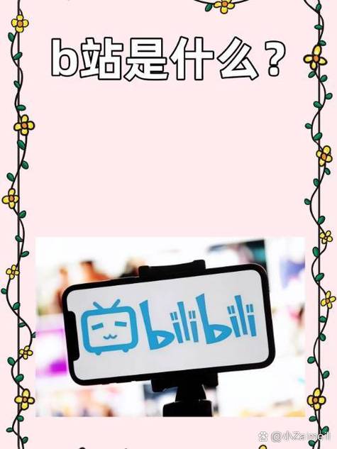 **揭秘B站视频高播放量的秘诀:踏上网红达人之路!**