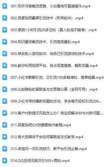 **标题：B站视频引流秘籍揭秘，零成本提升播放量实战攻略！**