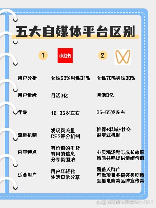 揭秘独家秘笈：如何借助刷赞平台在bilibili上实现飞跃式发展