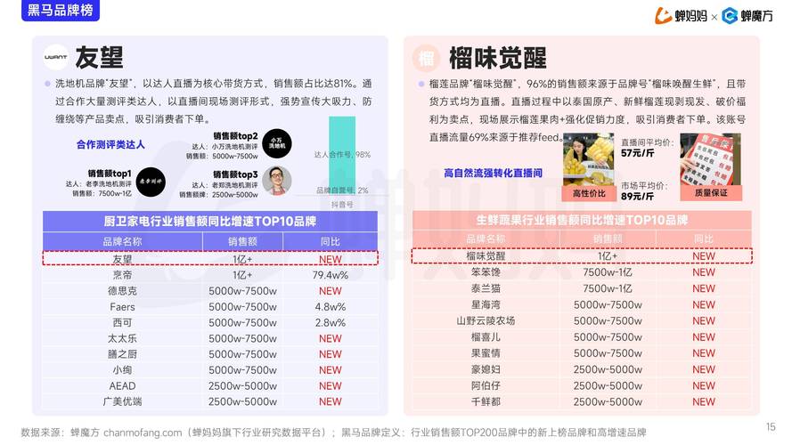 深度解析:抖音粉丝购买平台的优势与风险