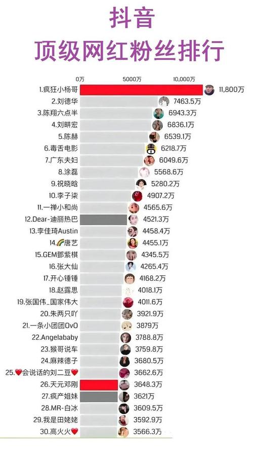 揭秘抖音粉丝购买平台,快速累积粉丝量