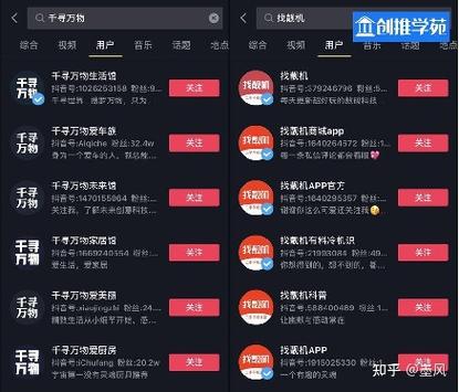 **抖音粉丝经济深度解析：揭秘1000粉丝的购买成本**
