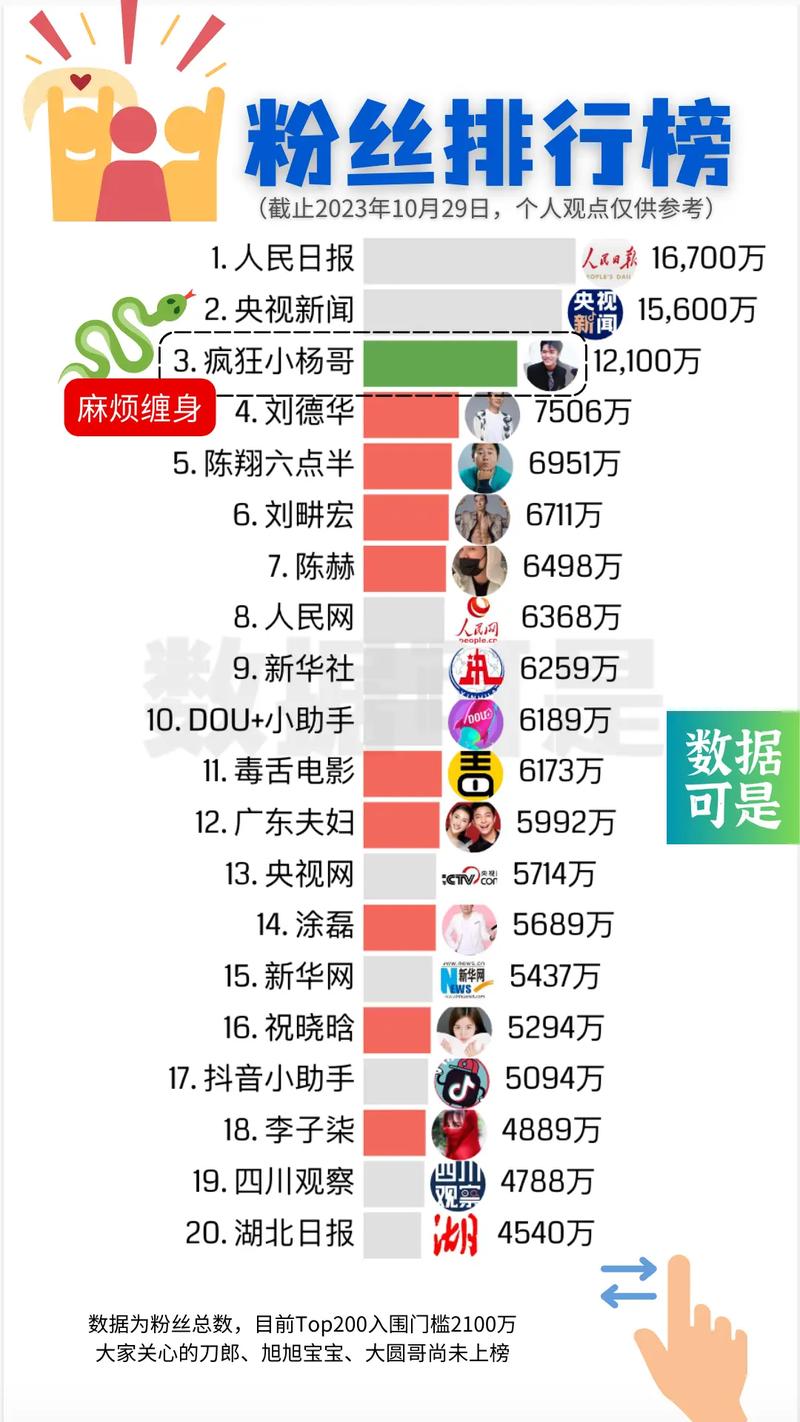 **标题:揭秘抖音粉丝增长策略:如何投入千元实现高回报?**