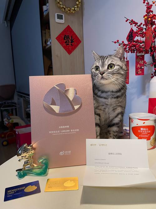 微博粉丝自助平台助力你的内容传播,让更多人看到你的声音!